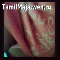 Chennai girl showing boobs.mp4